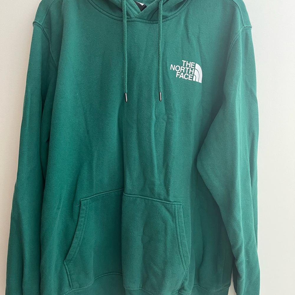 The North Face Men's Teal Hoodie Sweater